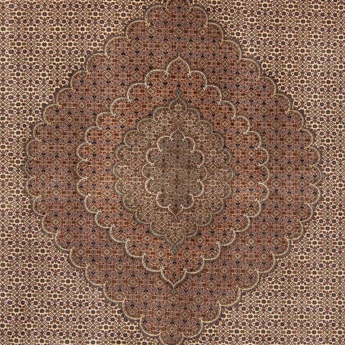 Perserteppich - Nomadic 360 x 263 cm
