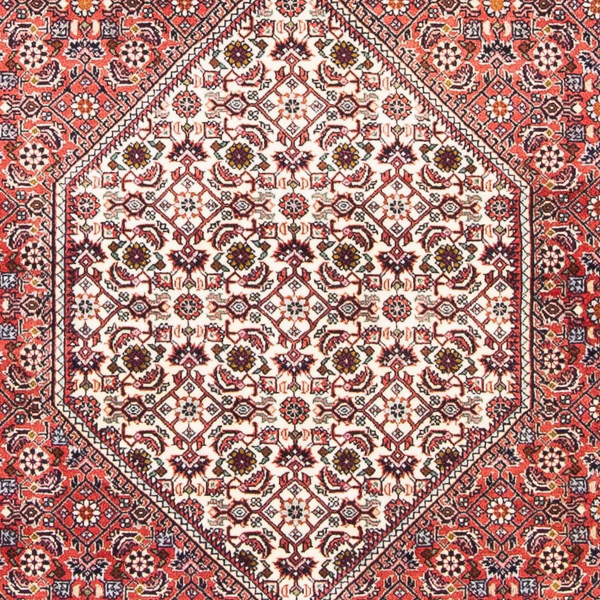 Perserteppich - Bidjar - Royal 174 x 108 cm - hellrot