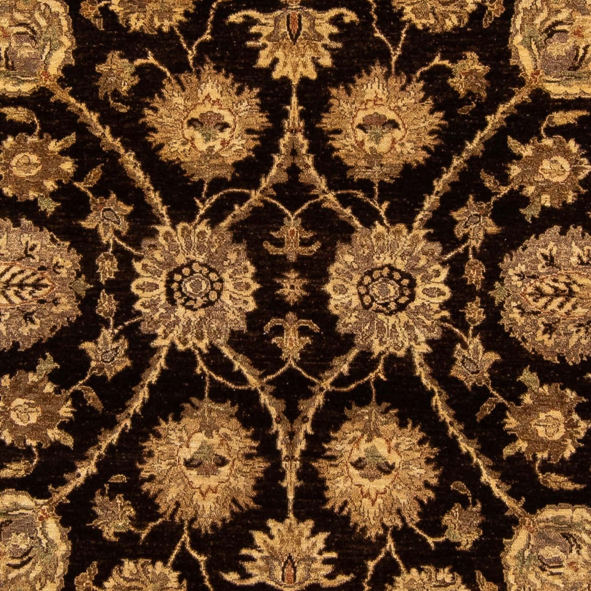 Pakistan Teppich 303 x 242 cm