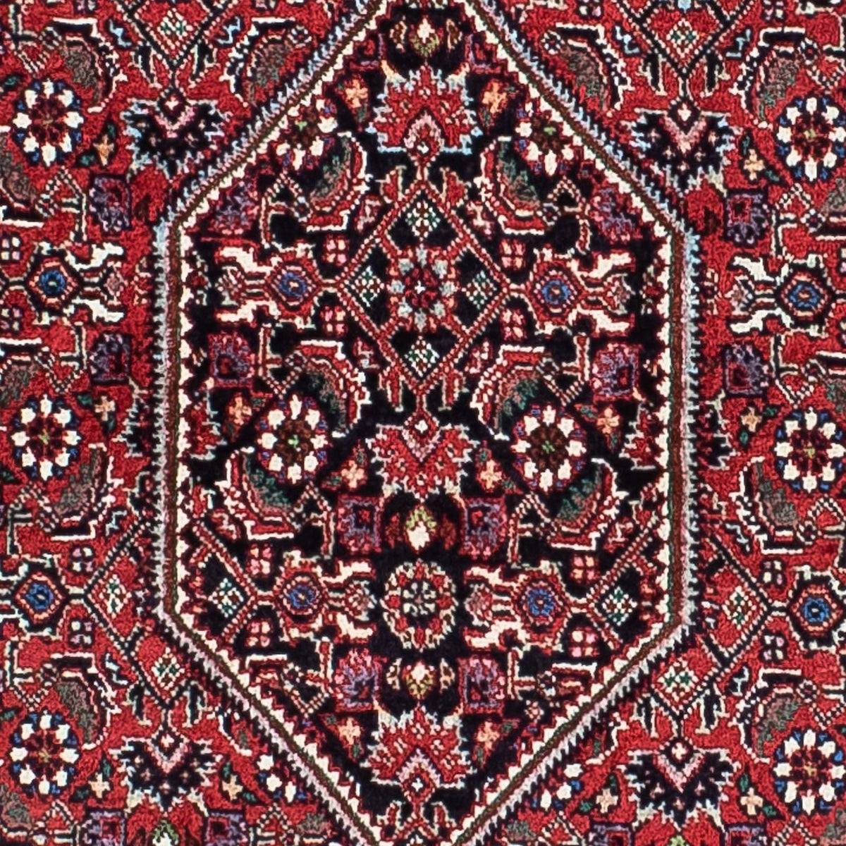 Perserteppich - Bidjar - Royal 205 x 131 cm