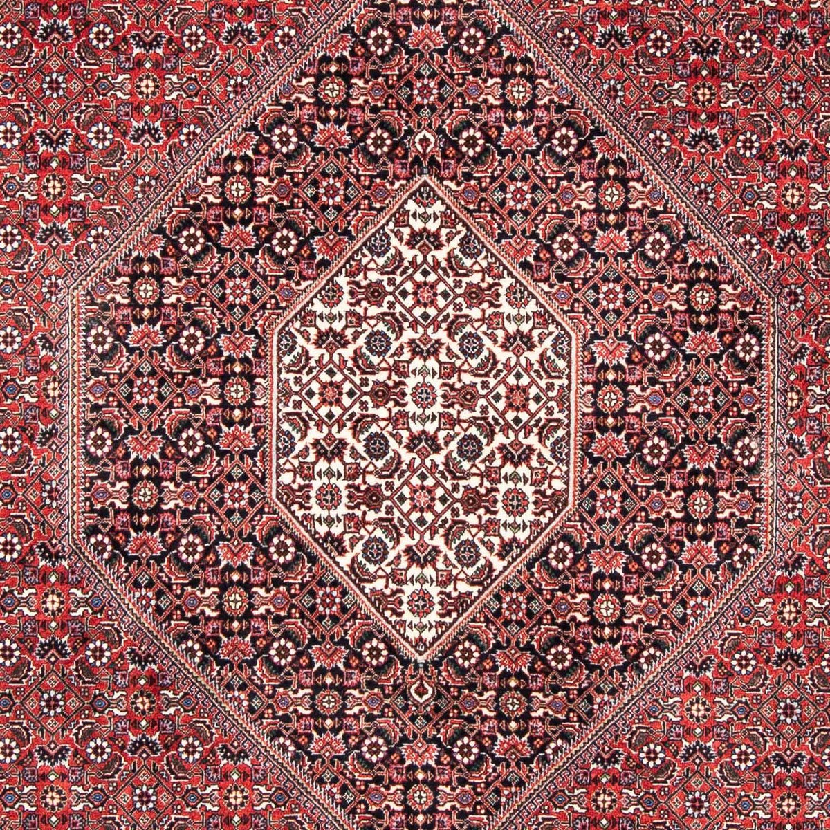 Perserteppich - Bidjar 253 x 174 cm
