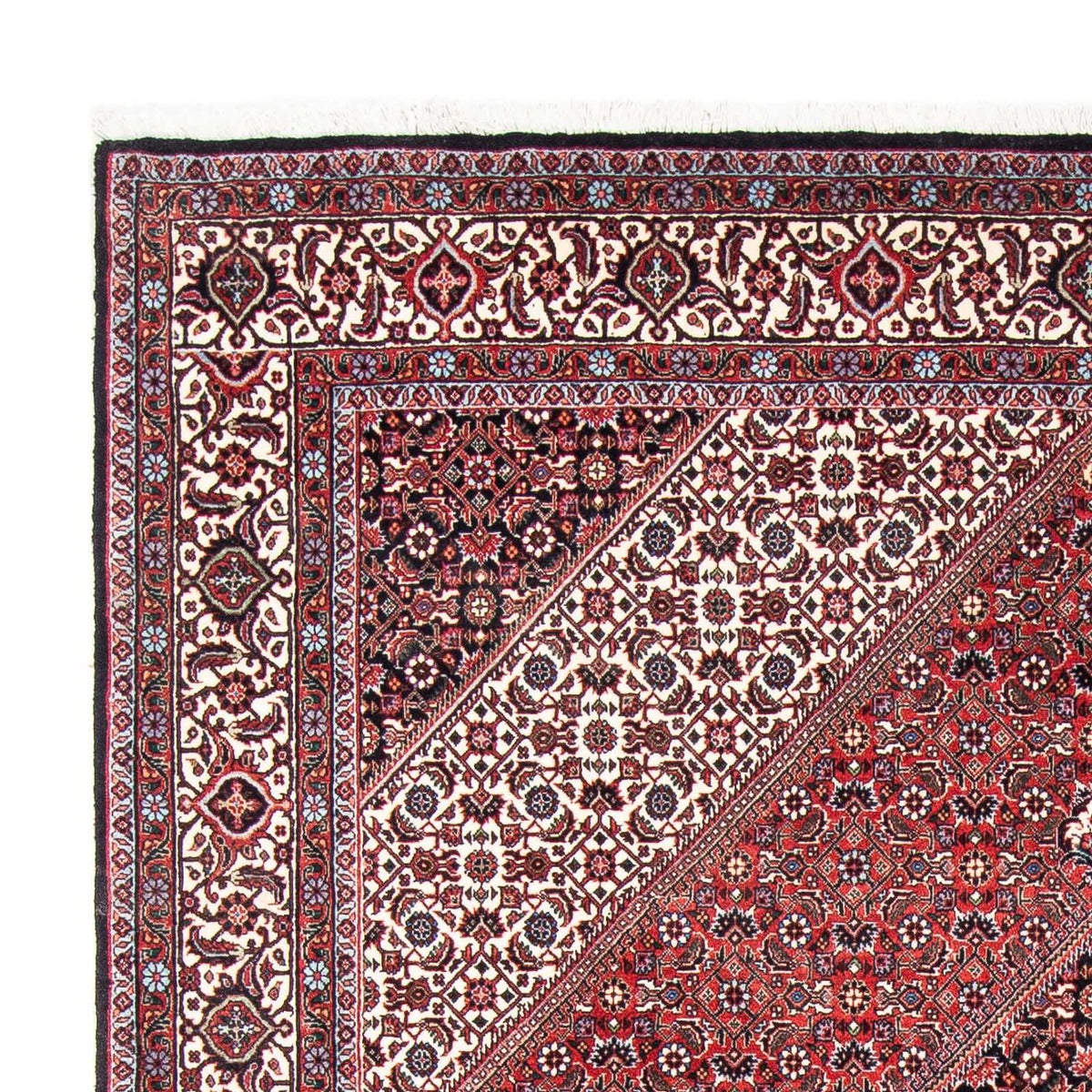 Perserteppich - Bidjar 253 x 174 cm