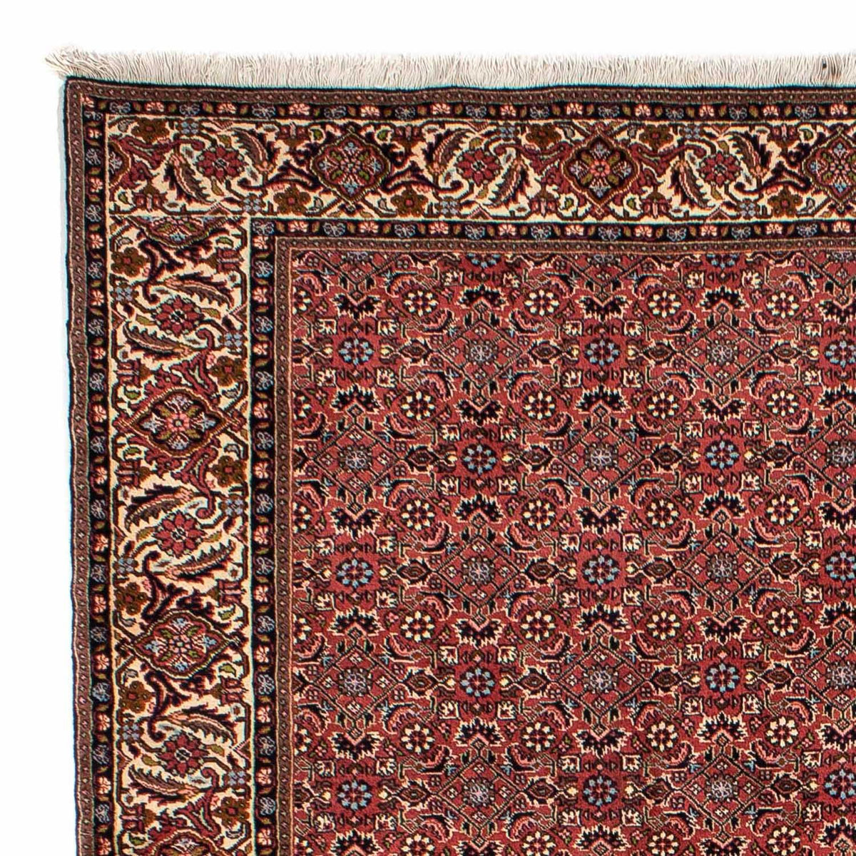 Perserteppich - Bidjar 300 x 200 cm