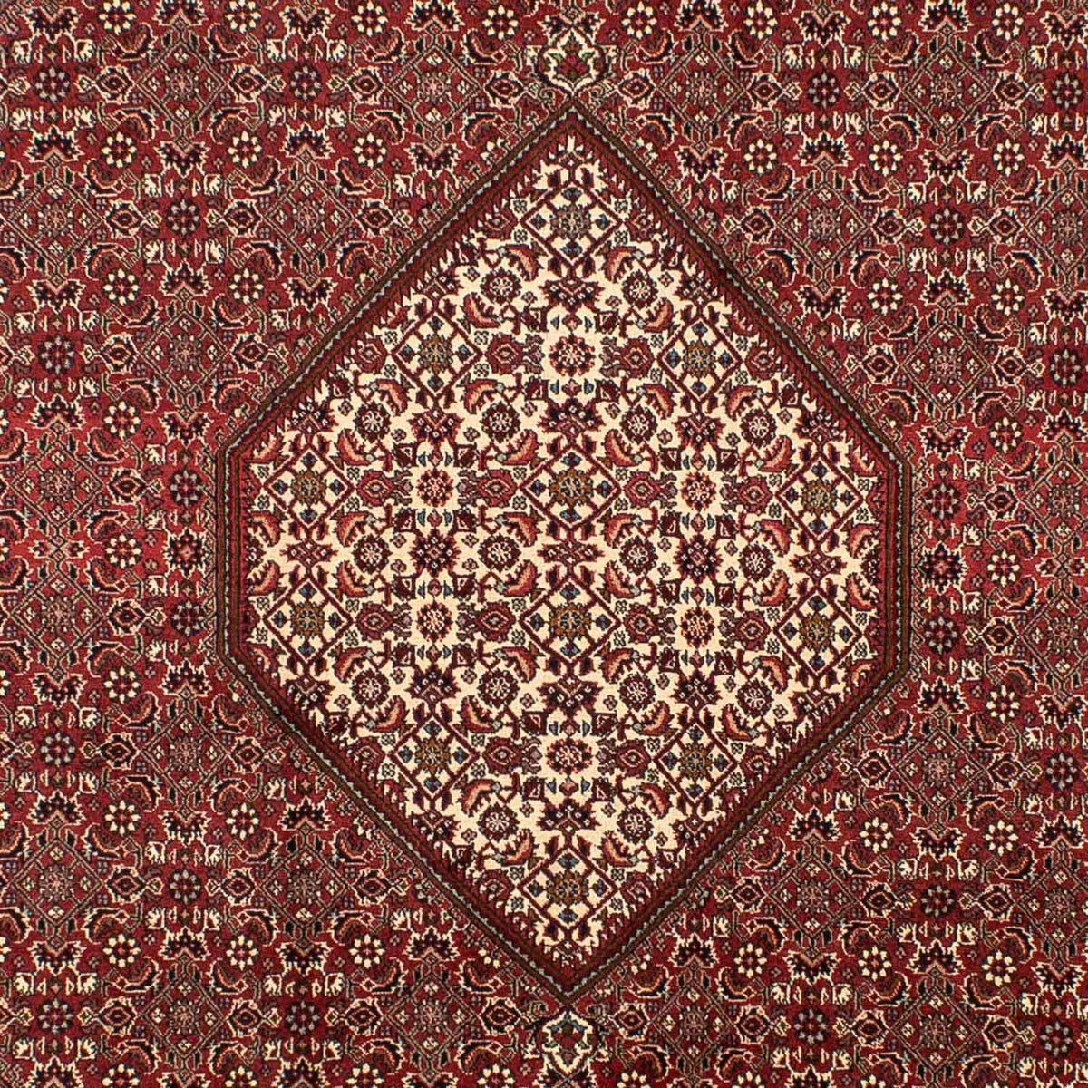 Perserteppich - Bidjar 295 x 204 cm