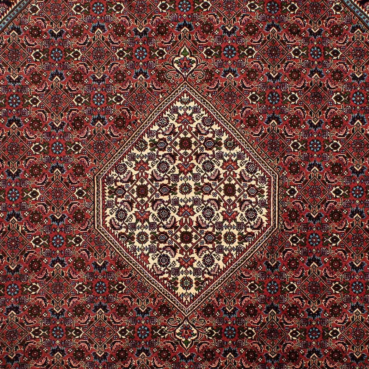 Perserteppich - Bidjar 302 x 198 cm