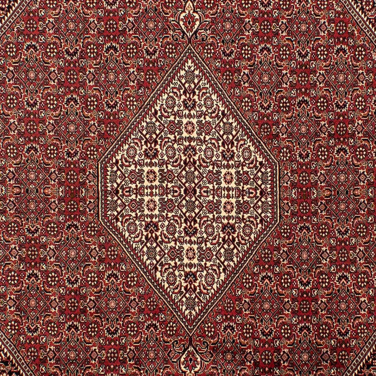 Perserteppich - Bidjar 304 x 200 cm