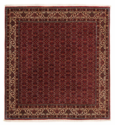 Bidjar Teppich 200x207cm - Perserteppich