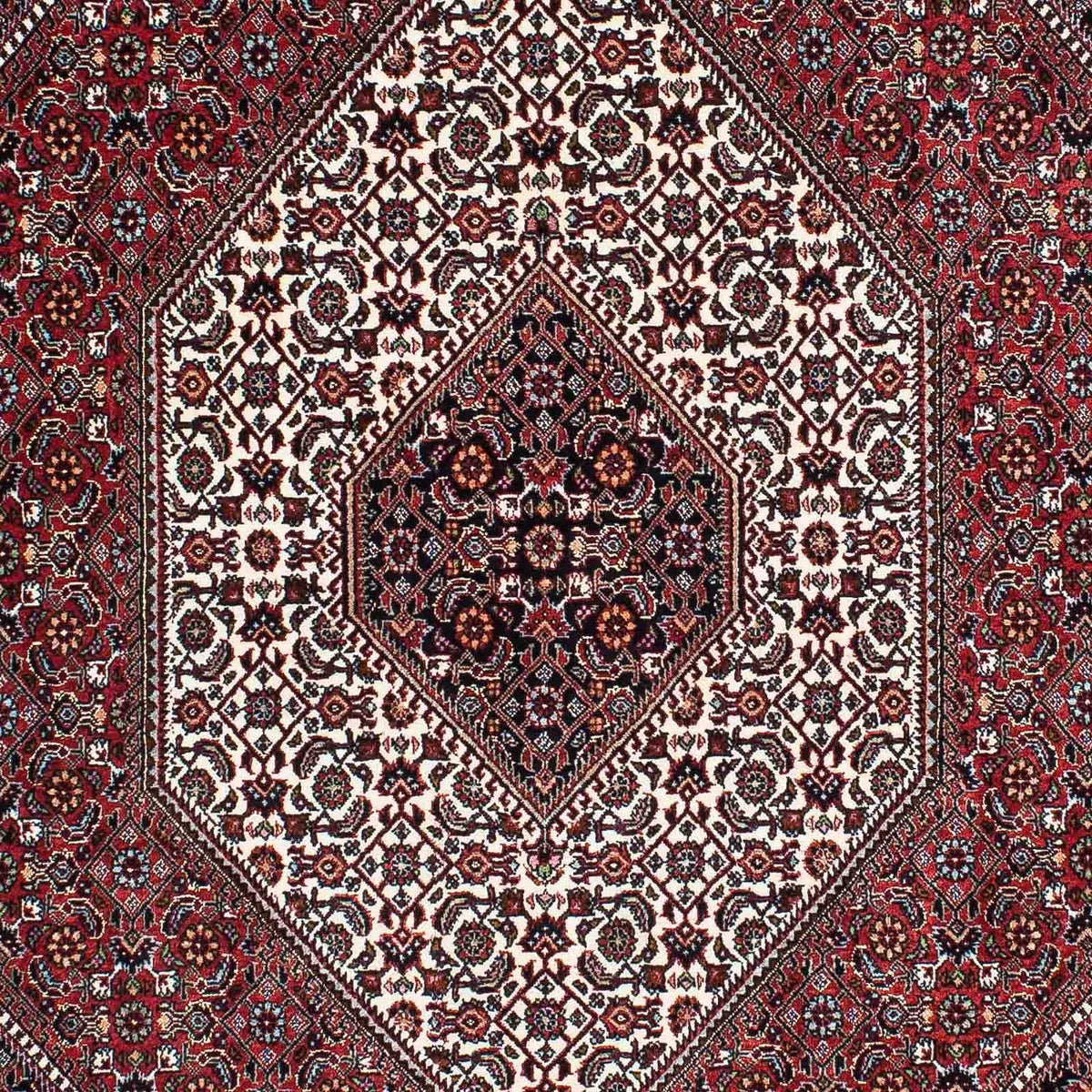 Perserteppich - Bidjar - Royal 212 x 139 cm