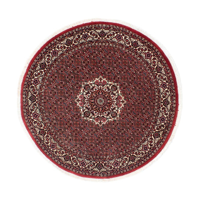 Bidjar Teppich 155x155cm - Perserteppich