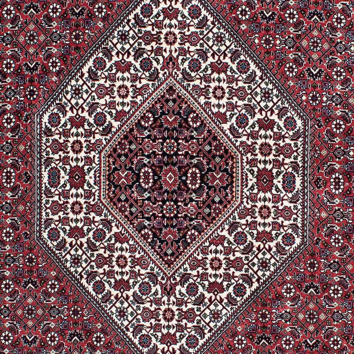 Perserteppich - Bidjar - Royal 217 x 131 cm - hellrot