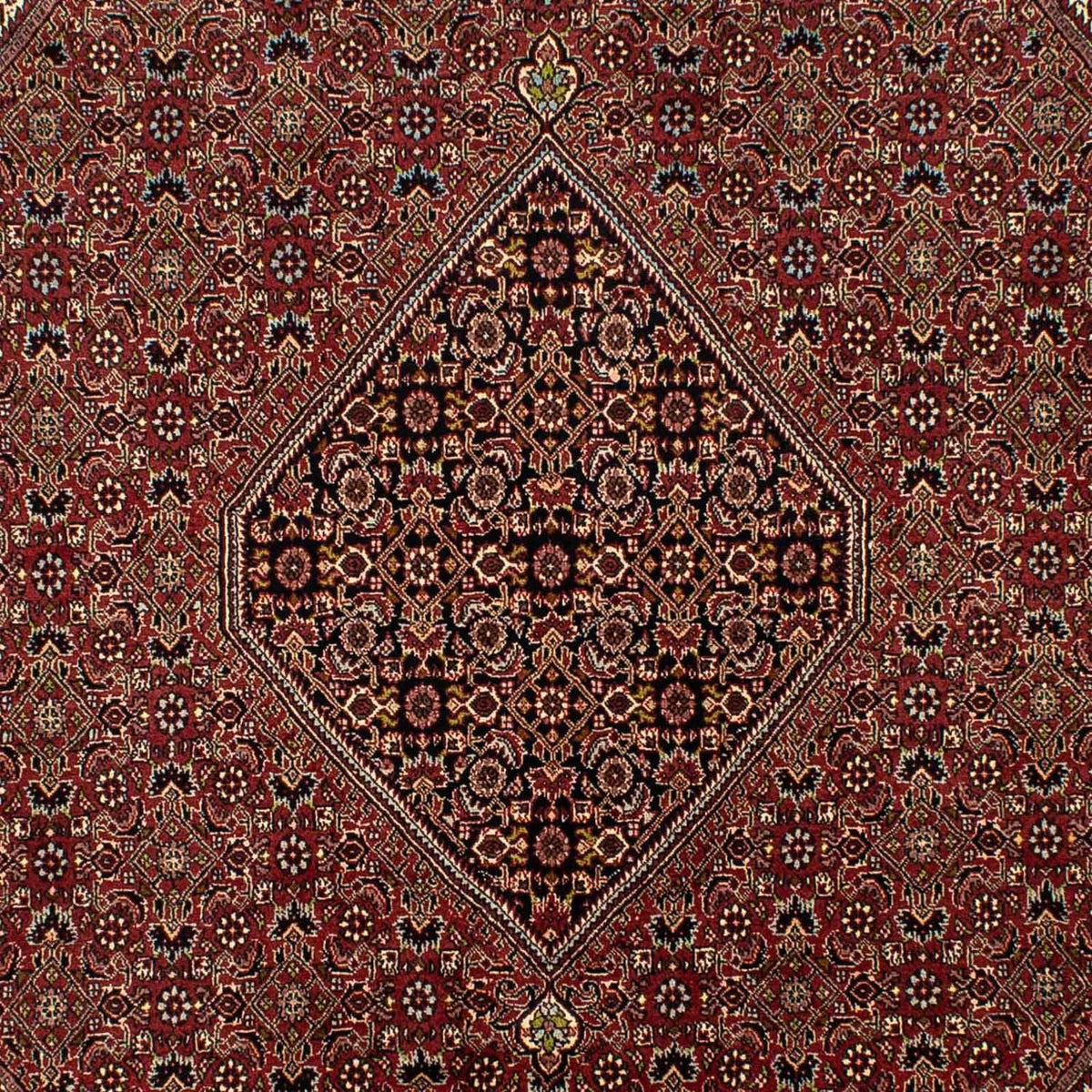 Perserteppich - Bidjar 295 x 200 cm