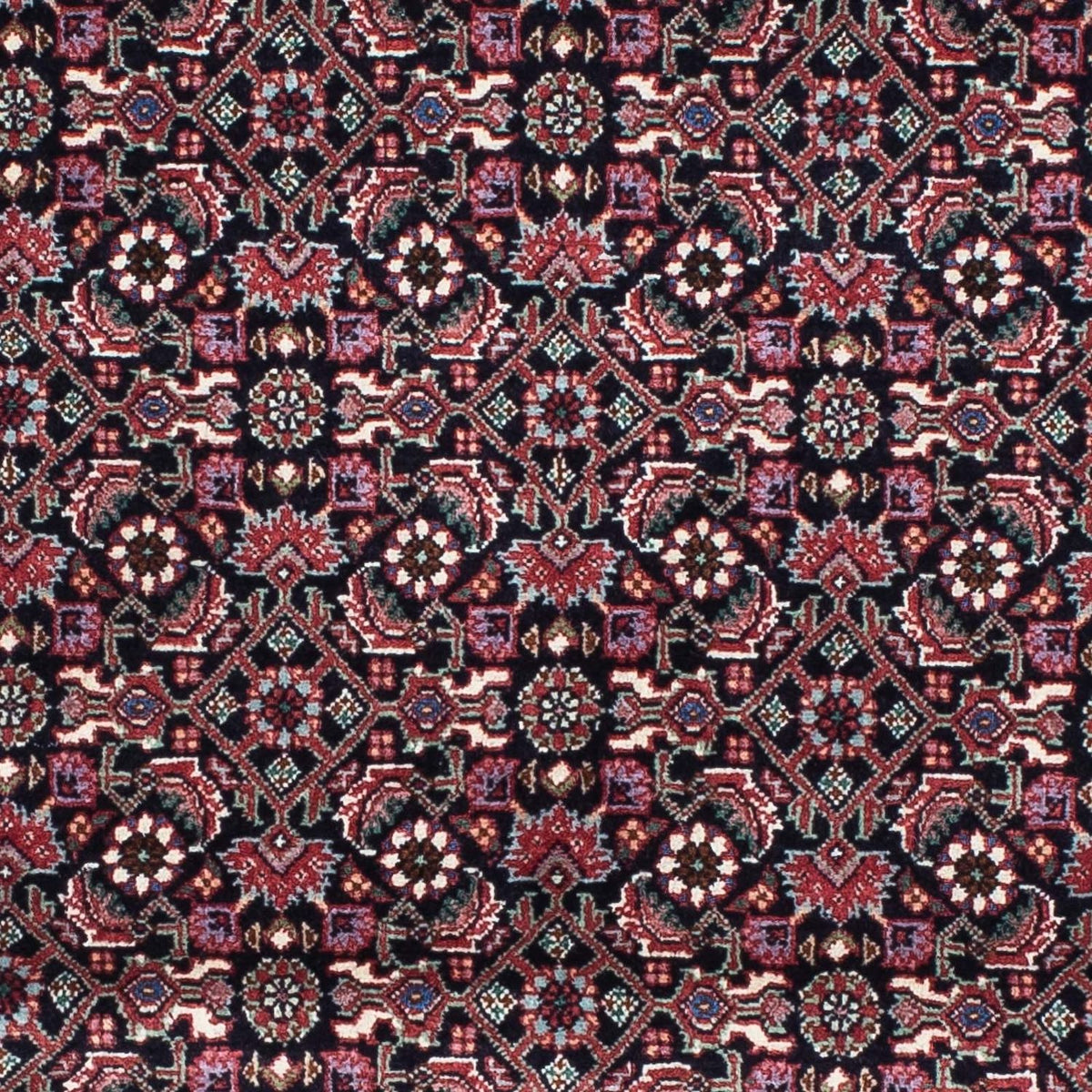 Perserteppich - Bidjar - Royal 200 x 74 cm