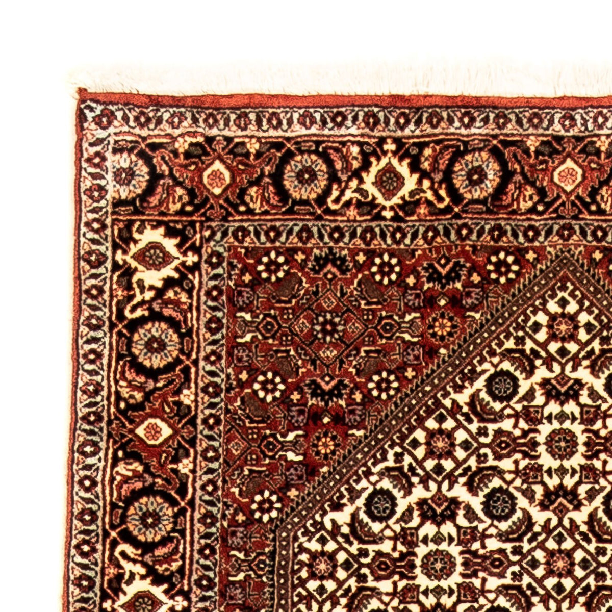 Perserteppich - Bidjar 289 x 86 cm