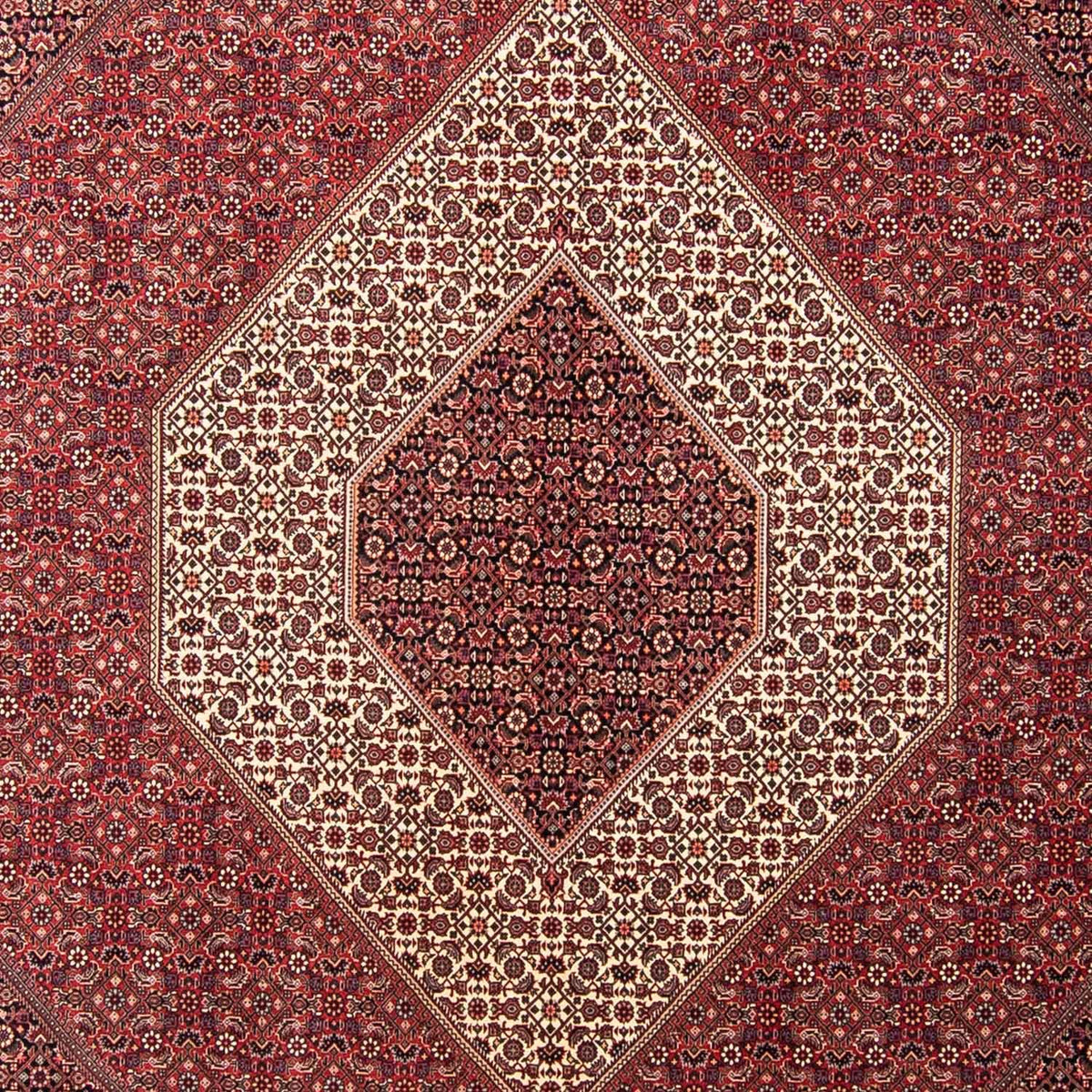 Perserteppich - Bidjar 350 x 254 cm