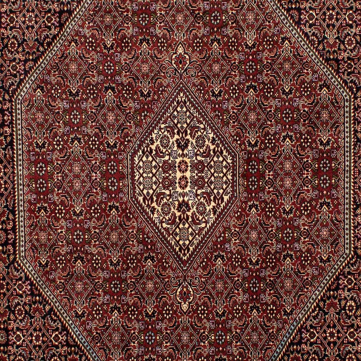 Perserteppich - Bidjar 283 x 199 cm
