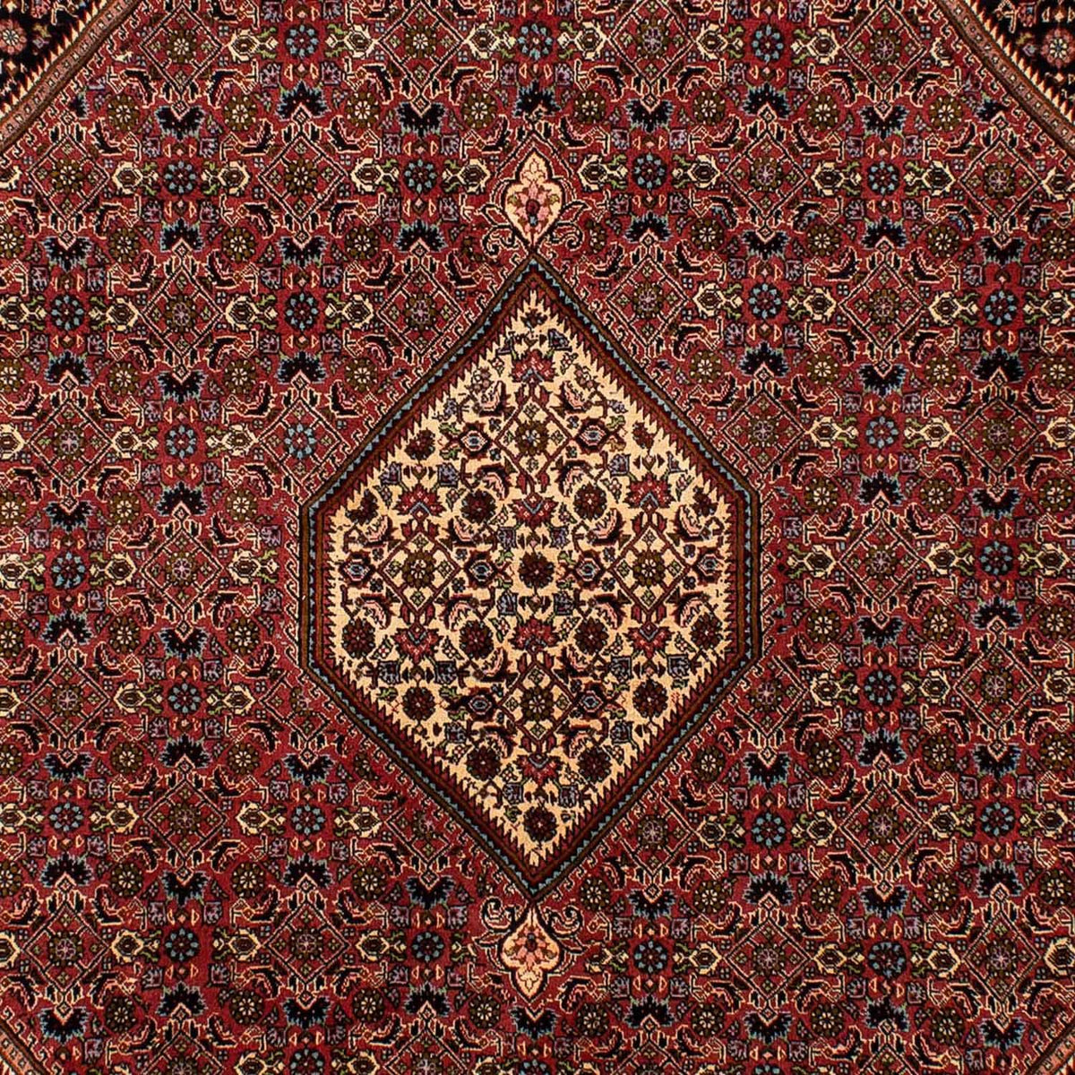 Perserteppich - Bidjar 288 x 202 cm