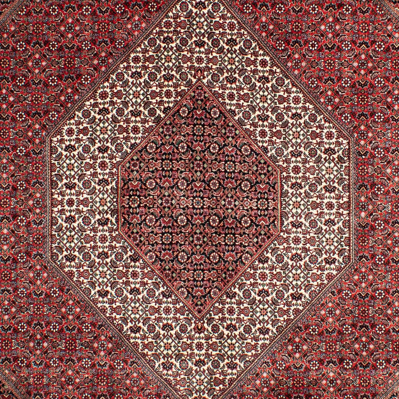Perserteppich - Bidjar 302 x 204 cm