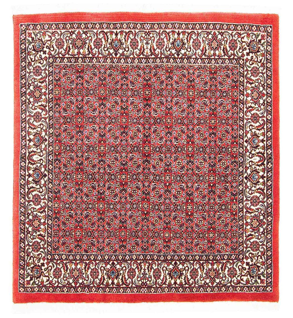 Perserteppich - Bidjar - Royal 104 x 98 cm Quadratischer Teppich