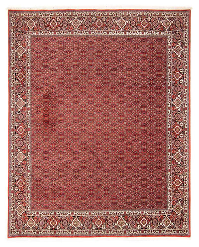 Bidjar Teppich 250x290cm - Perserteppich