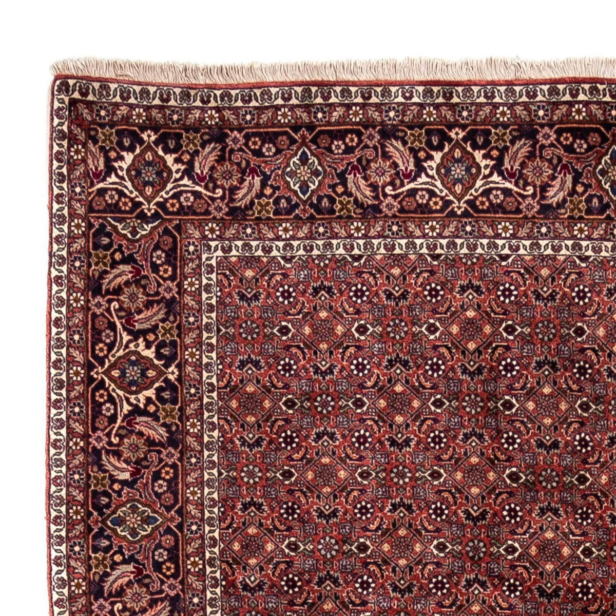 Perserteppich - Bidjar - Royal 293 x 200 cm - rot