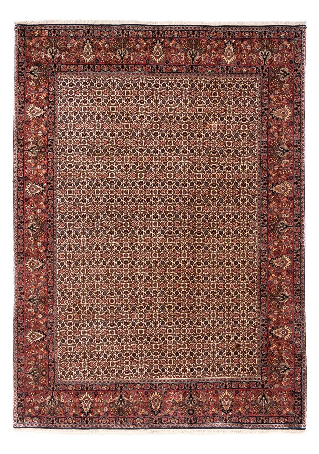 Perserteppich - Bidjar - Royal 287 x 208 cm