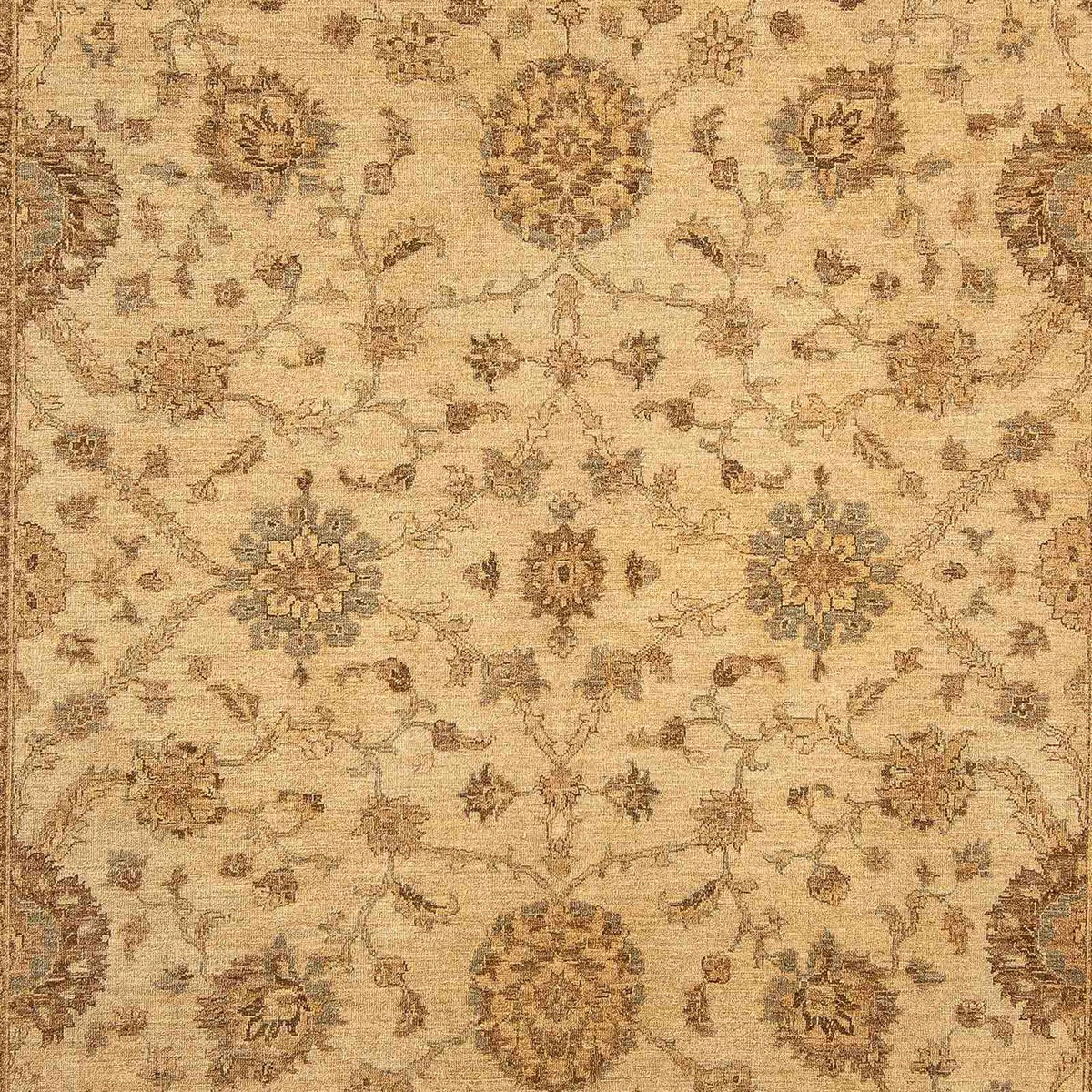 Ziegler Teppich 323 x 244 cm