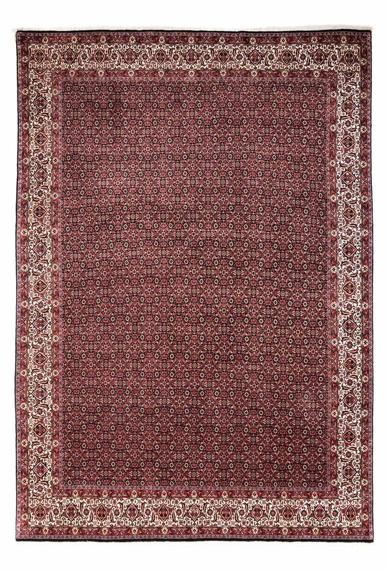 Perserteppich - Bidjar - Royal 345 x 246 cm