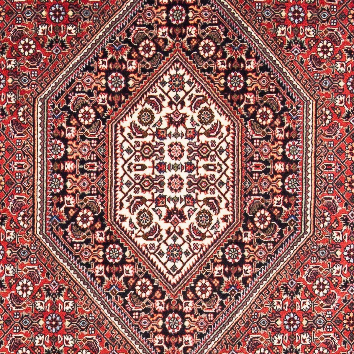 Perserteppich - Bidjar - Royal 170 x 111 cm
