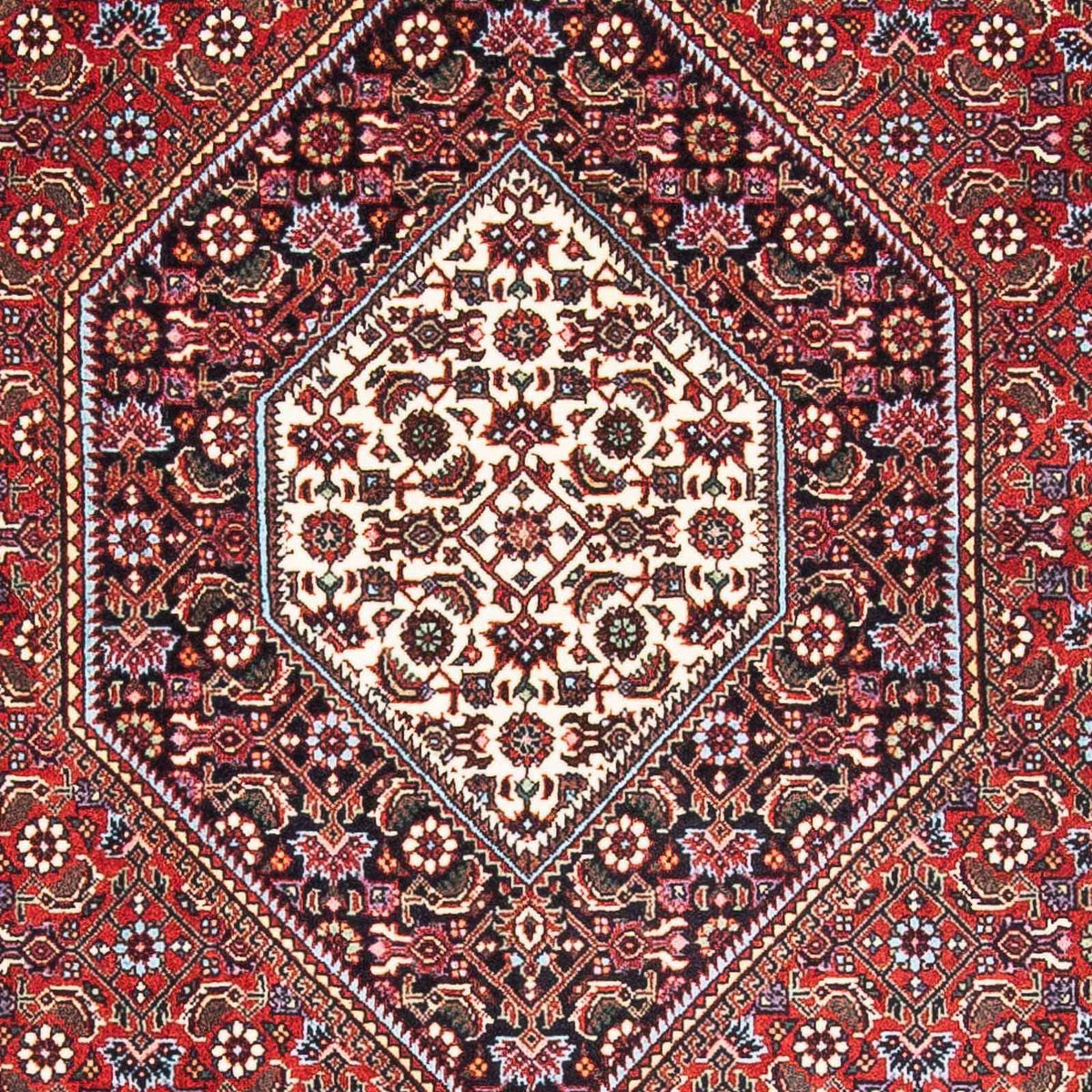 Perserteppich - Bidjar - Royal 171 x 114 cm