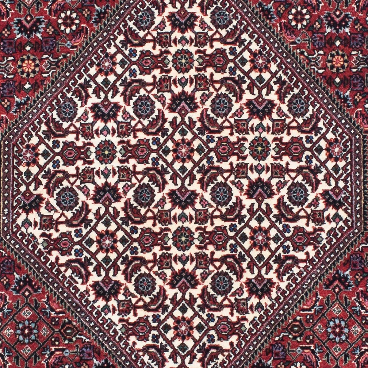 Perserteppich - Bidjar - Royal 231 x 74 cm