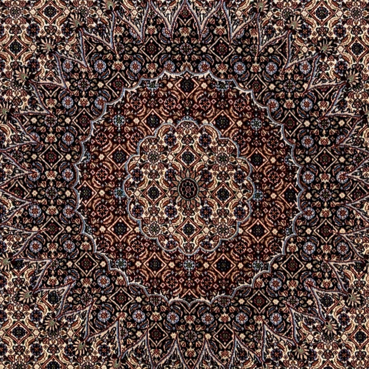 Perserteppich - Classic 345 x 253 cm