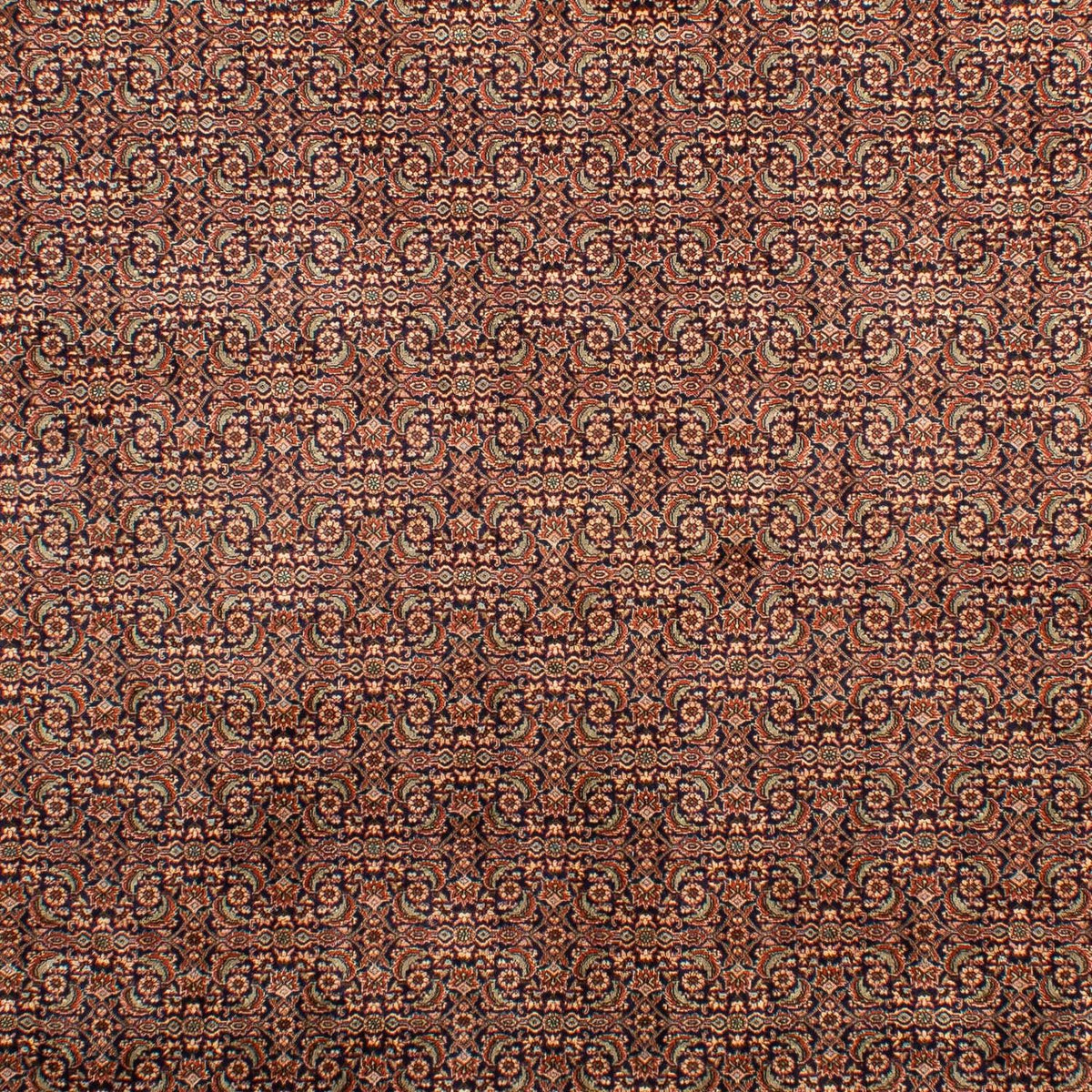 Perserteppich - Bidjar 298 x 202 cm - mehrfarbig