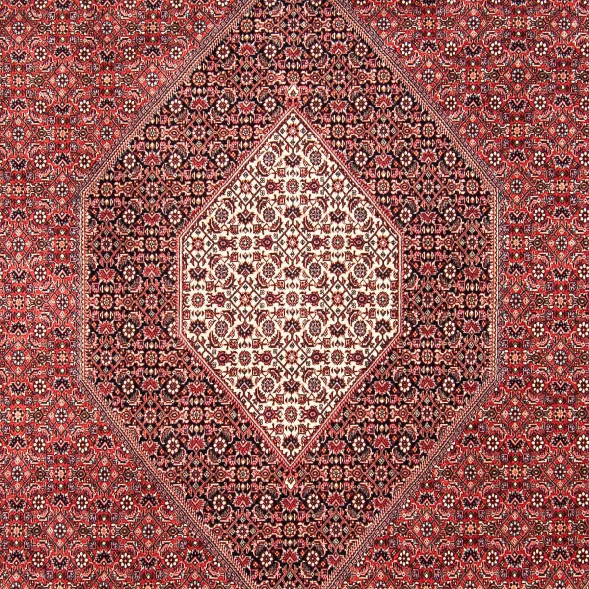 Perserteppich - Bidjar 310 x 250 cm Wohnzimmer Teppich