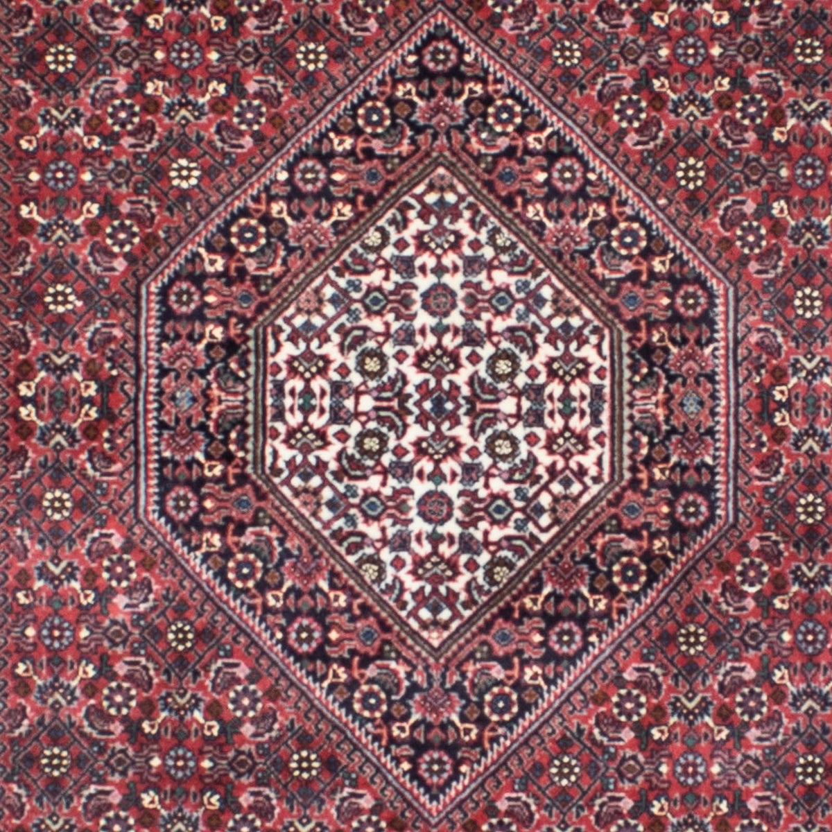 Perserteppich - Bidjar - Royal 294 x 90 cm