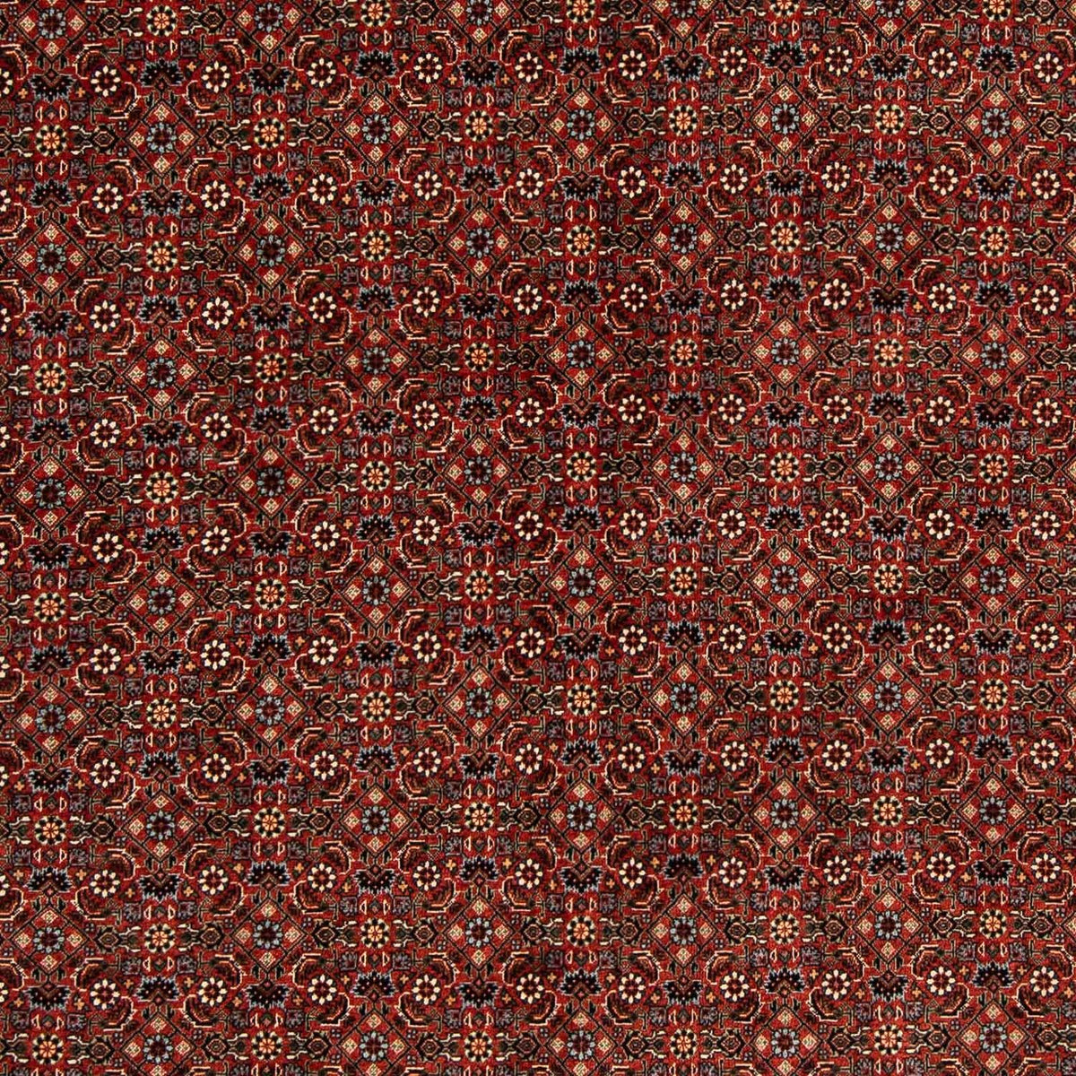 Perserteppich - Bidjar 203 x 197 cm