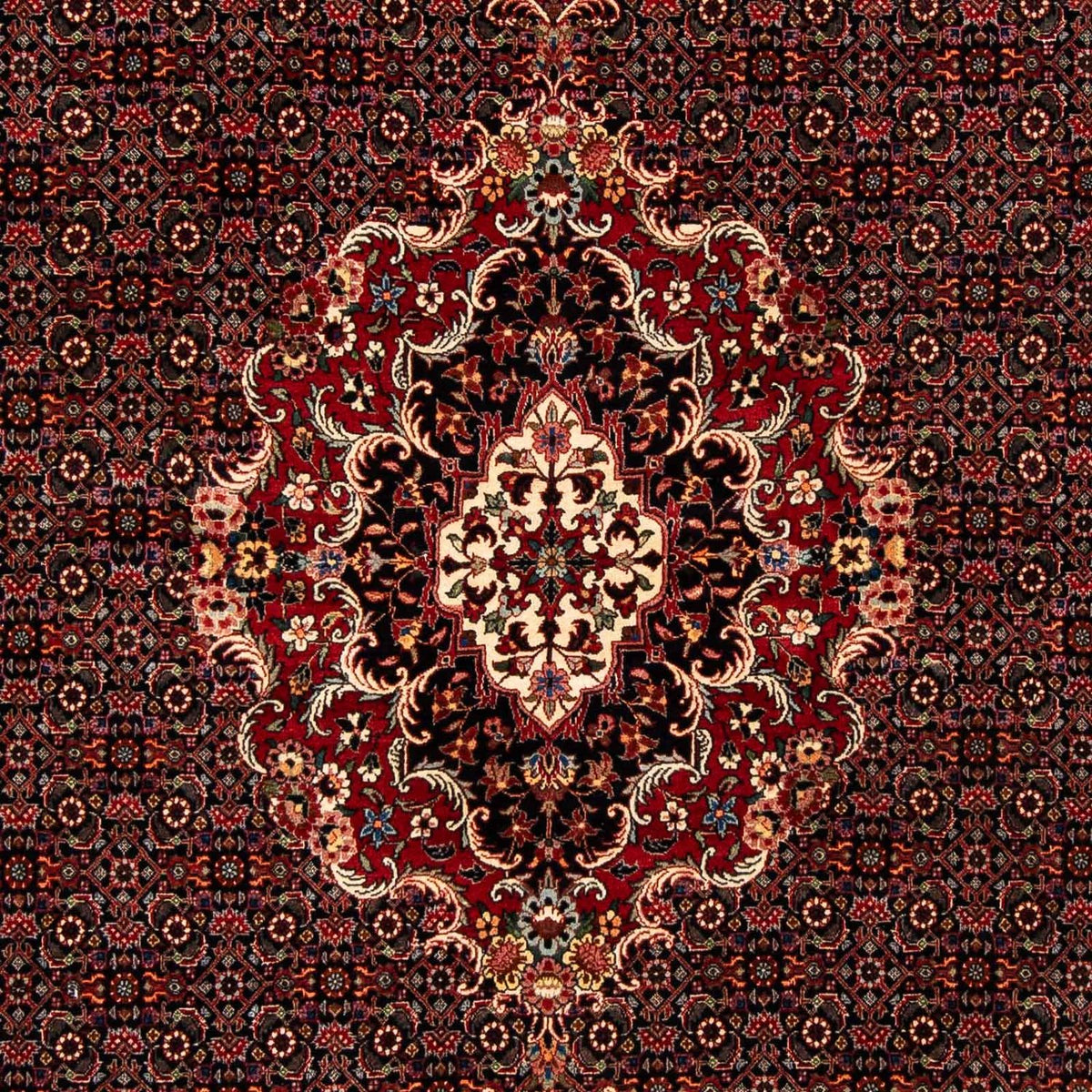 Perserteppich - Bidjar 252 x 200 cm