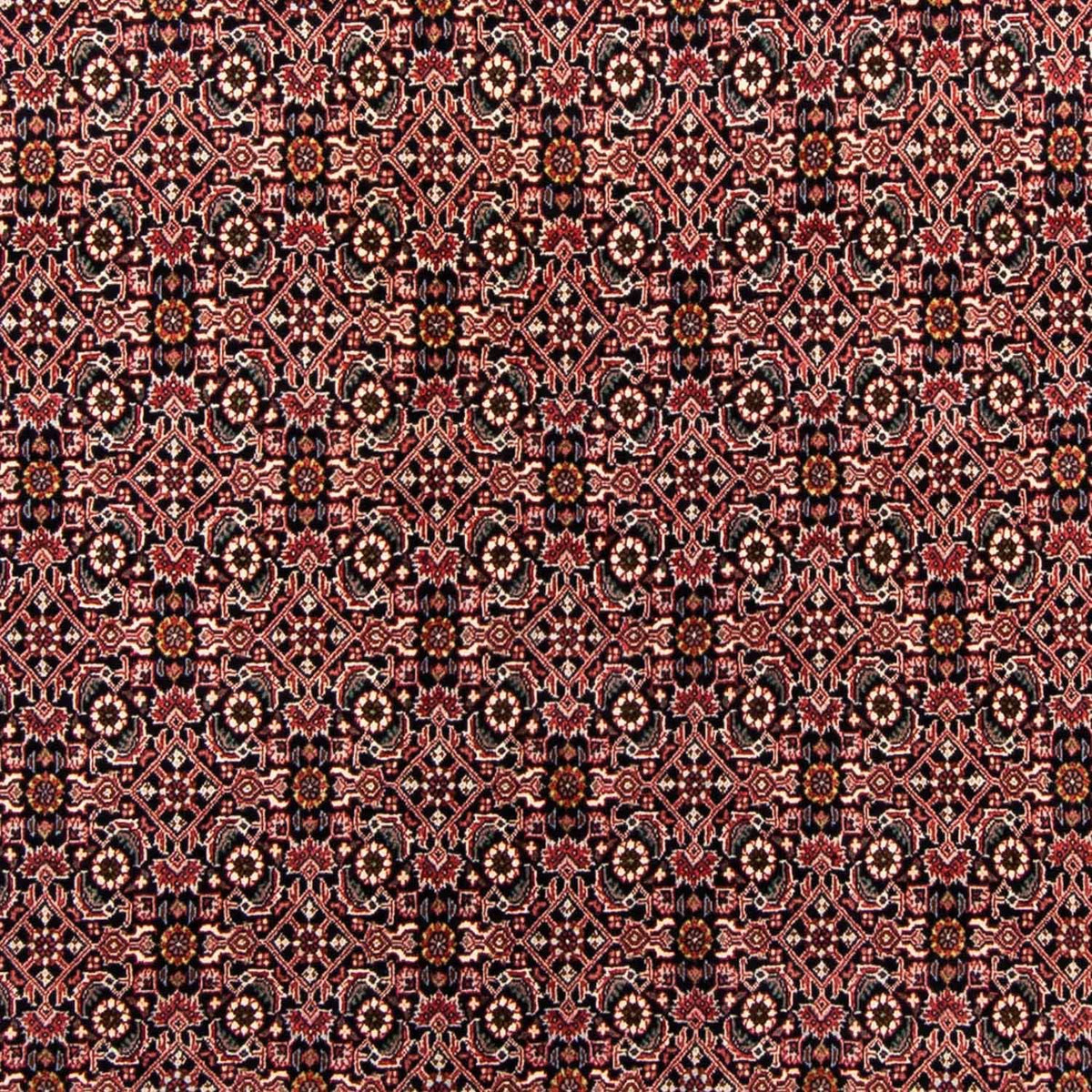 Perserteppich - Bidjar 247 x 168 cm