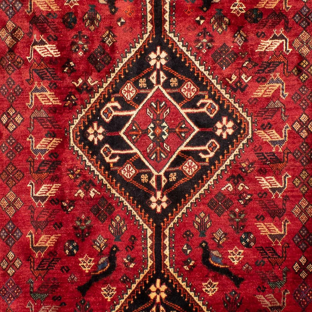 Perserteppich - Nomadic 330 x 228 cm