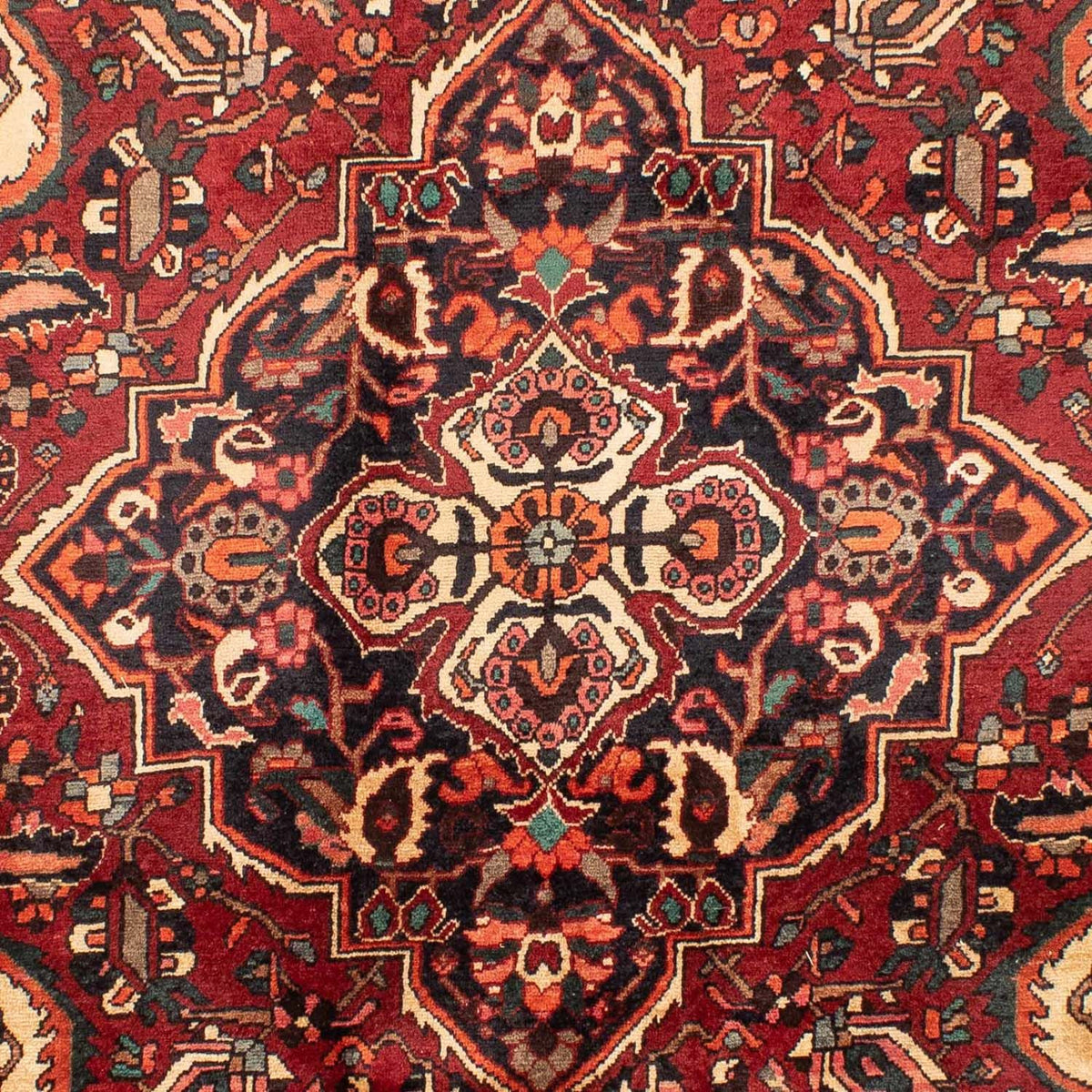 Perserteppich - Nomadic 295 x 202 cm