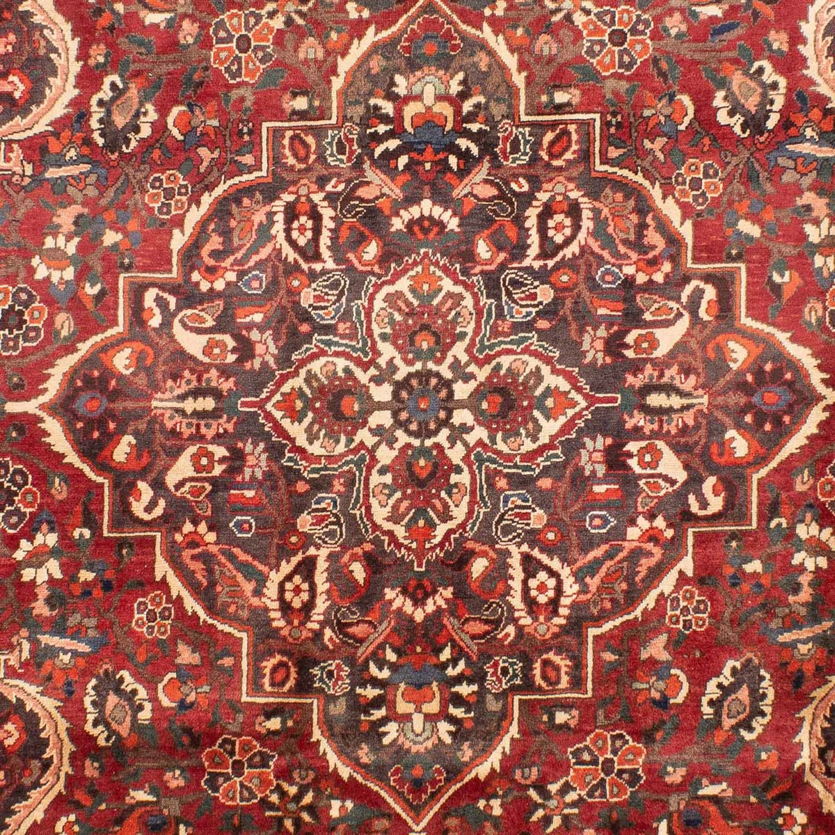 Perserteppich - Nomadic 294 x 205 cm