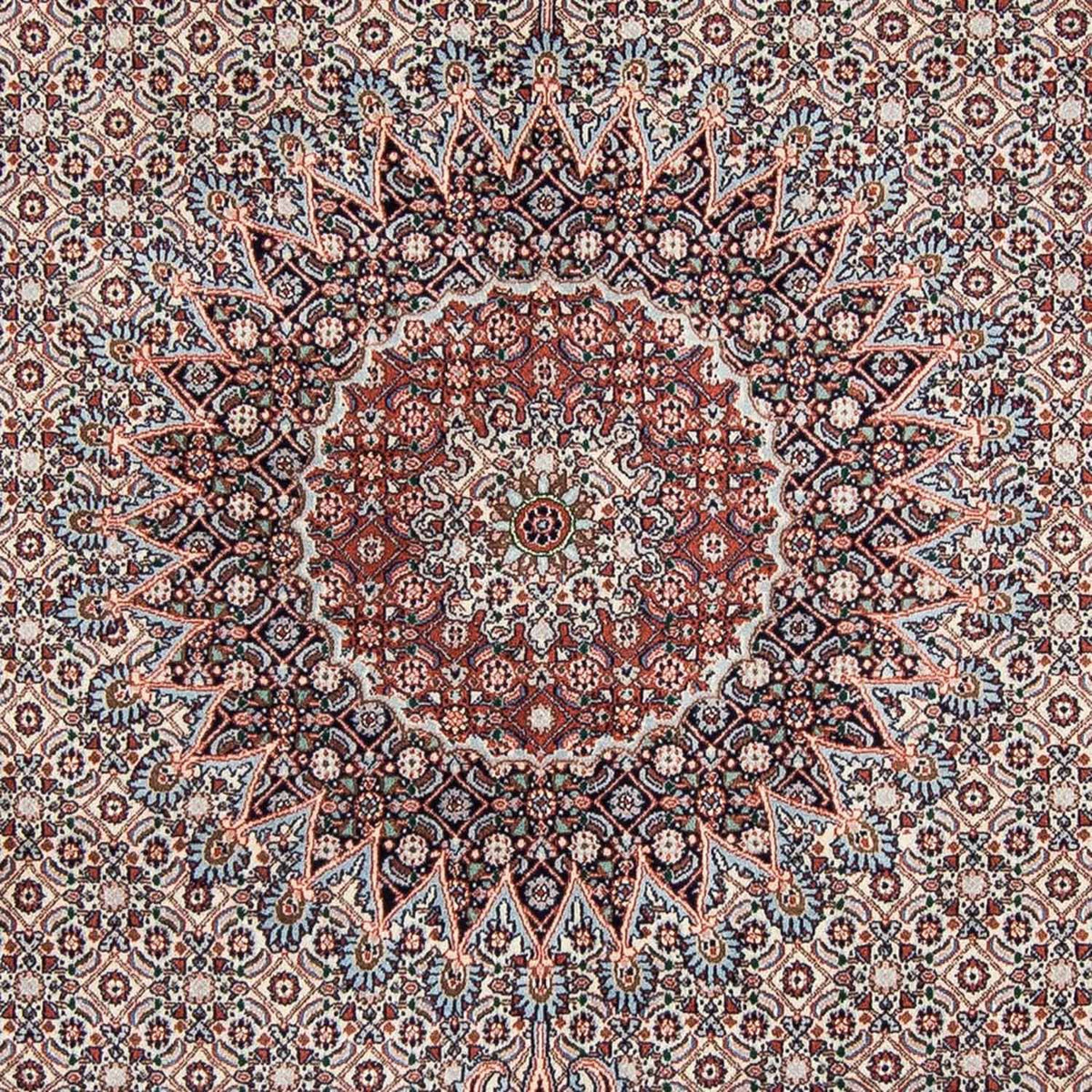 Perserteppich - Classic 272 x 215 cm