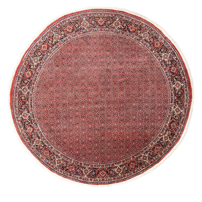 Bidjar Teppich 300x300cm - Perserteppich