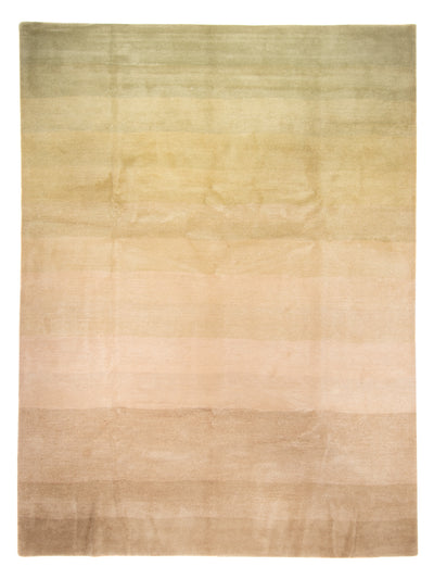 Nepal Teppich 252x345cm - Wollteppich