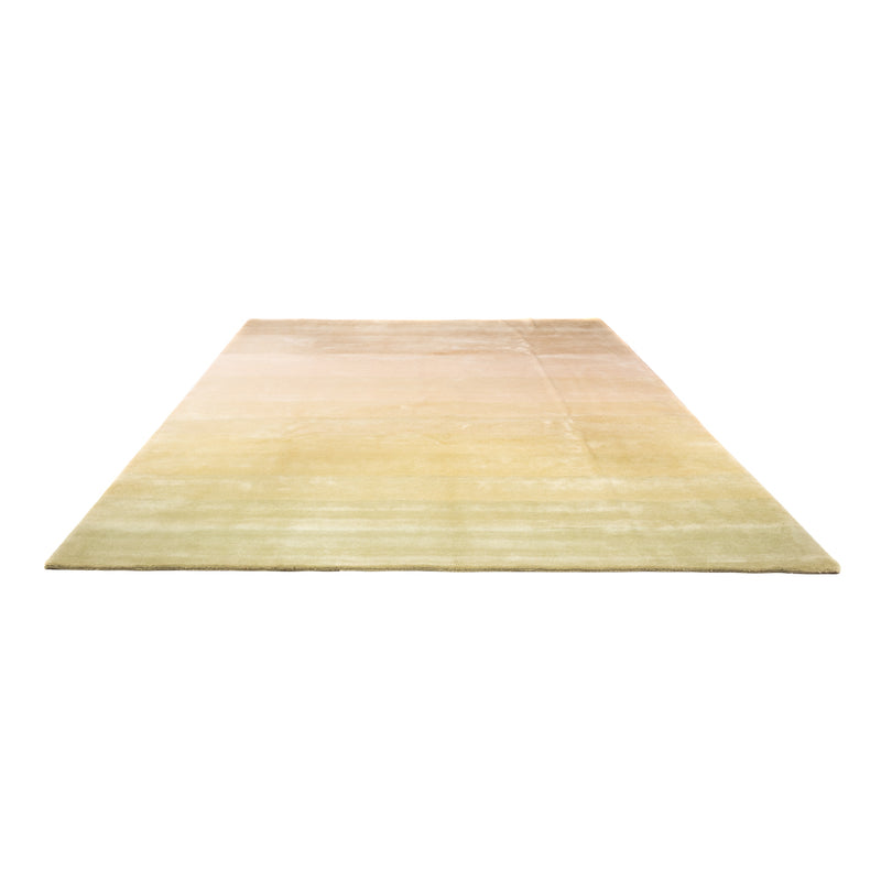 Nepal Teppich - Royal - 345 x 252 cm - mehrfarbig
