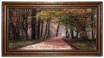 Bild-Teppich 63x110cm - Orientteppich