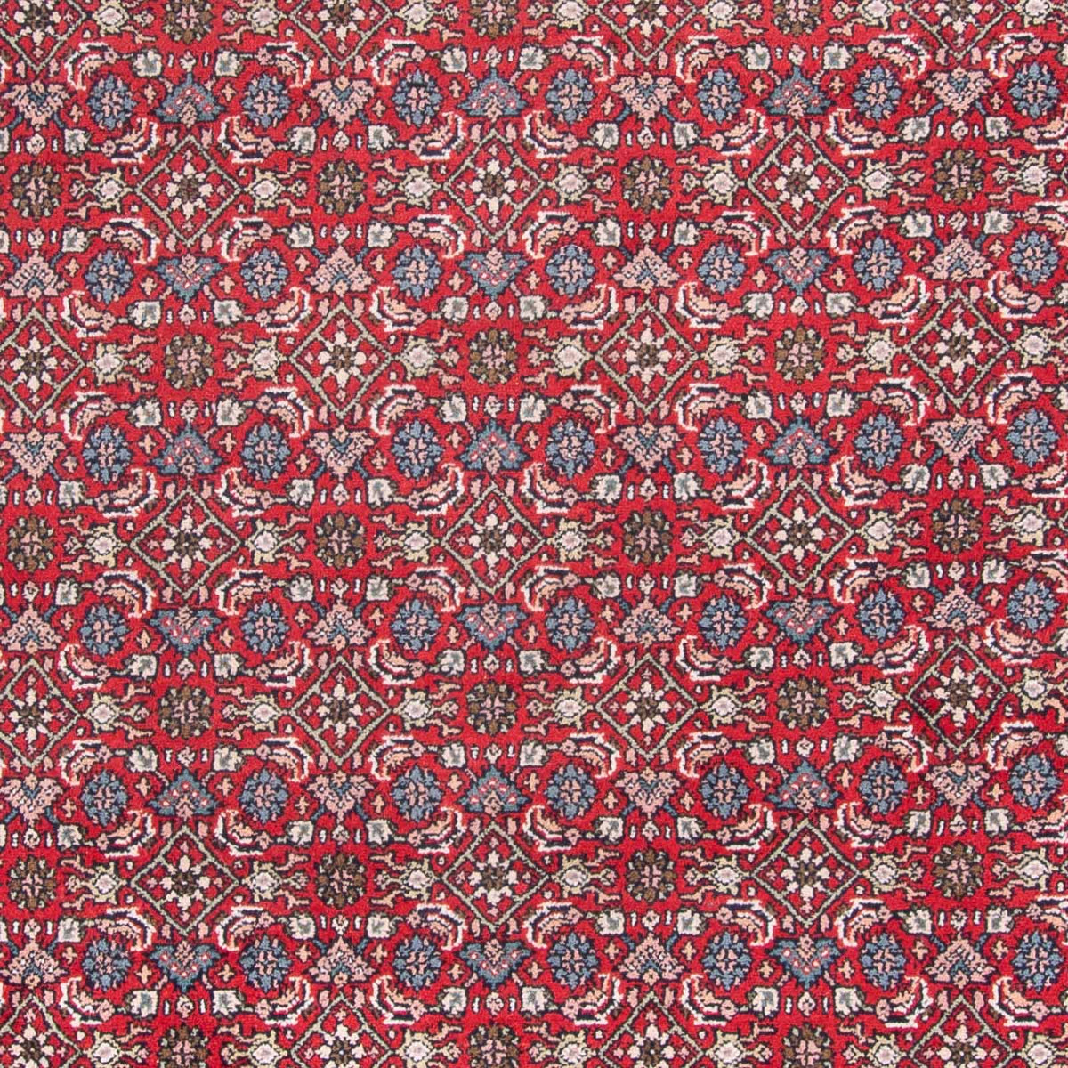 Orientteppich - Bidjar - Indus - 353 x 253 cm - rot