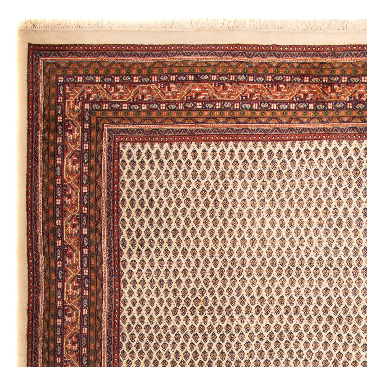 Indo Mir Teppich 344x244cm - Orientteppich