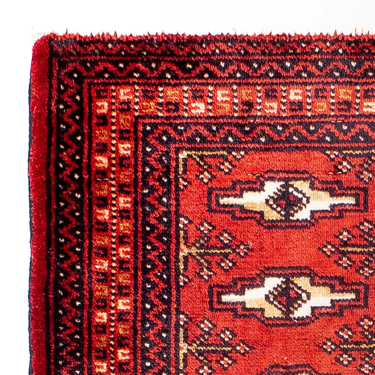 Turkaman Teppich 67x88cm - Orientteppich