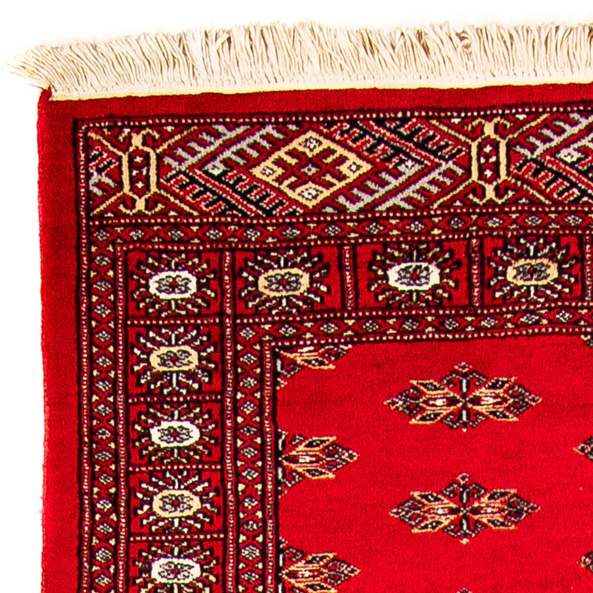 Pakistan Teppich 76x326cm - Orientteppich