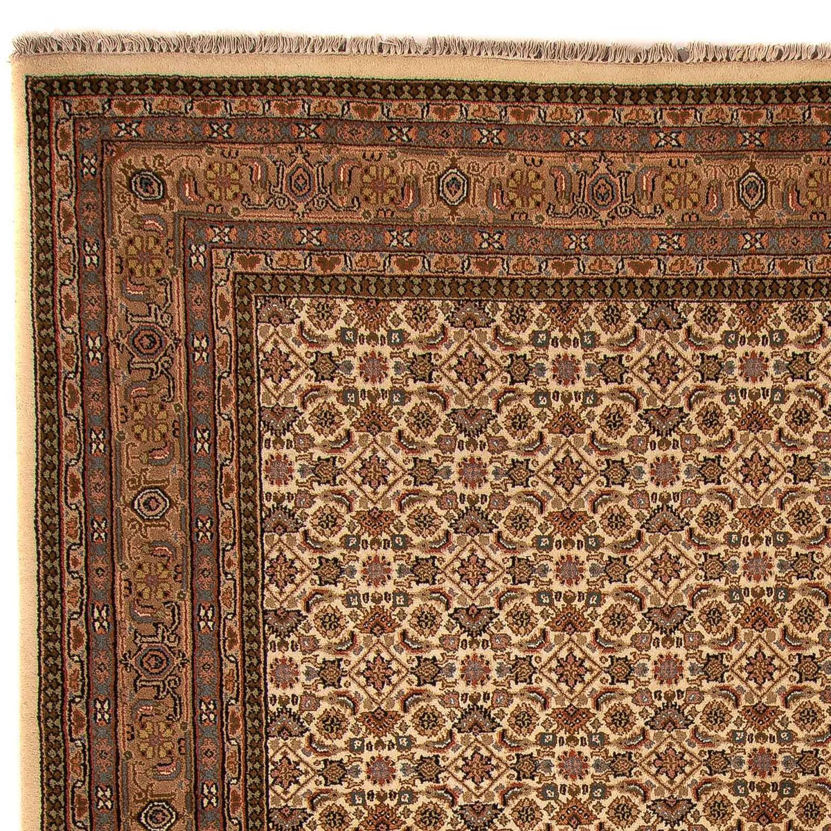 Orientteppich - Bidjar - Indus 309 x 250 cm - beige